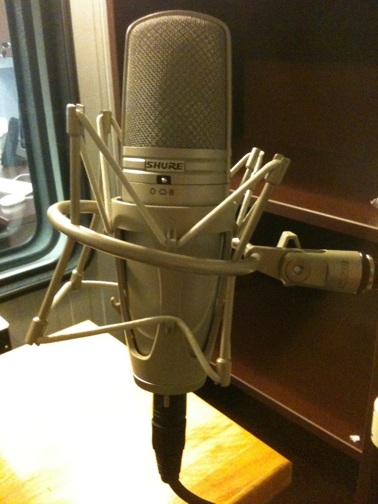 A large-diaphragm condenser microphone in a shock mount